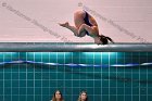 Swimming & Diving vs Babson  Swimming & Diving vs Babson College. - Photo by Keith Nordstrom : Wheaton, Swimming
